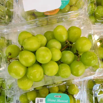 Fresh Organic Green Globe Grapes Fruit Fresh Price Shine Muscat