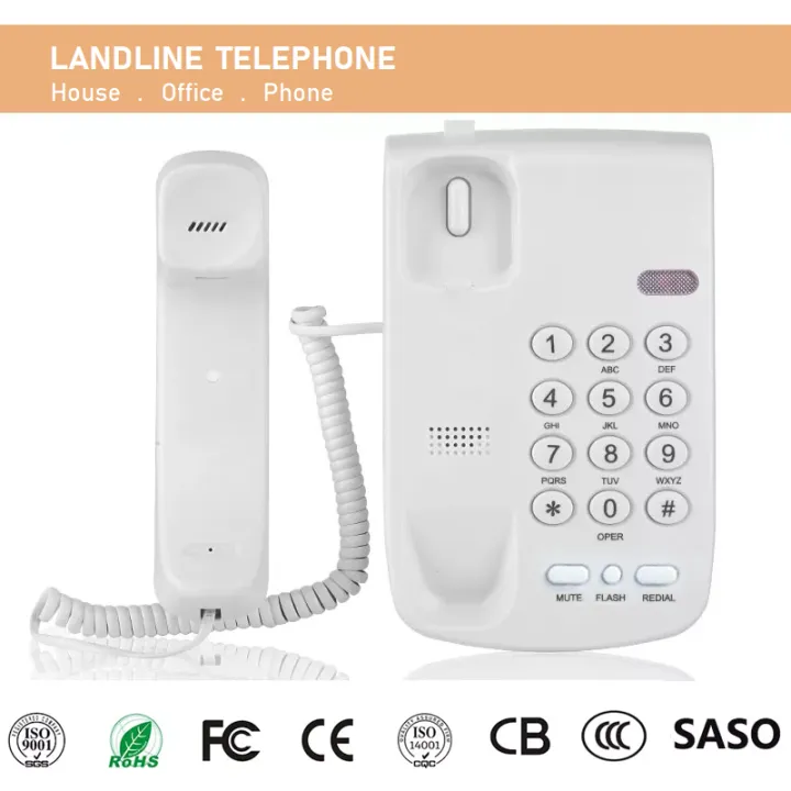 landline format