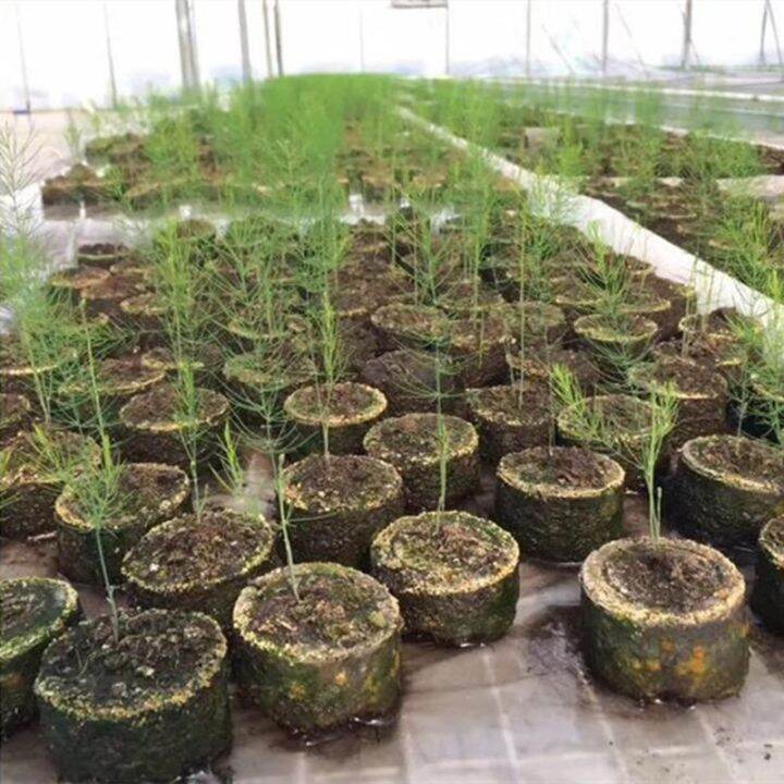5pcs 4 5cm Jiffy Peat Pellets Pellets Seedling Soil Block Starting Plugs Seeds Starter Pallet 5pcs 4 5cm Jiffy Peat Pellets Pellets Seedling Soil Block Starting Plugs Seeds Starter Pallet