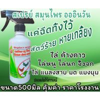 ✽ไล่หนู ไล่นก ไล่จิ้งจก ไล่งู ไล่ค้างคาว 500 ml. ไล่มด แมลงสาบ แมงมุม ฯลฯ❅