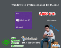 Win 10 Pro (OEM)