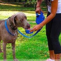 4FT 3-In-1 Dog Leash Bowl ภาชนะพับได้สุนัขอุปกรณ์เดิน