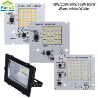 FORWDG 1Pc ขาว/วอร์มไวท์ อินพุต 220V 10W 20W 30W 50W 100W พลังสูง ลูกปัดชิป LED SMD2835 สมาร์ทไอซี ไฟคนขับ