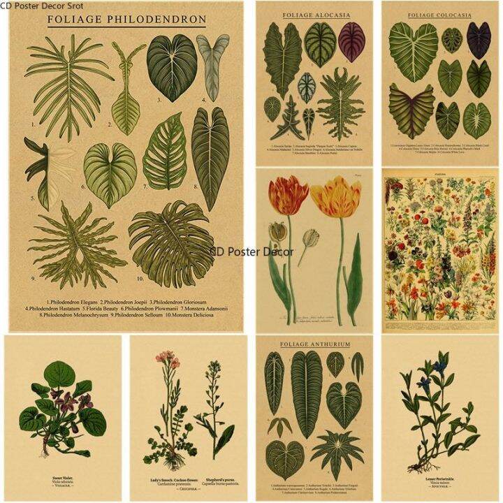 ☑⊕۩ Botanical Illustration Poster Plant Leaf Flower Kraft Paper Posters ...