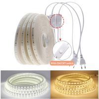 220V Led Strip 2835 High Brightness Decoration Bedroom Waterproof Warm White 1M 2M 30M Led Tape Lighting For Living Room Eu Plug LED Strip Lighting