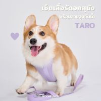 Premium Harness Walk Kit - Taro สายจูง สายรัดอก สายจูงสุนัข สายจูงสุนัขใหญ่ สายจูงรัดอกสุนัข