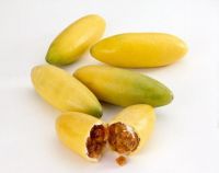 Banana Passion Fruit (10 seeds) เสาวรสกล้วย (10 เมล็ด)