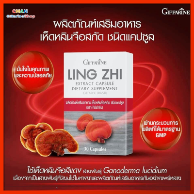 เห็ดหลินจือสกัด ชนิดแคปซูล กิฟฟารีน เห็ดหลินจือ Lingzhi Extract Giffarine ส่งฟรี ส่งเร็ว