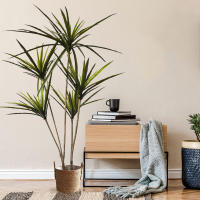 【cw】90-120cm Large Artificial Dracaena Plants Tropical Potted Tree Fake Plastic Palm Leaves Cycas Plant For Home Garden Indoor Decor ！