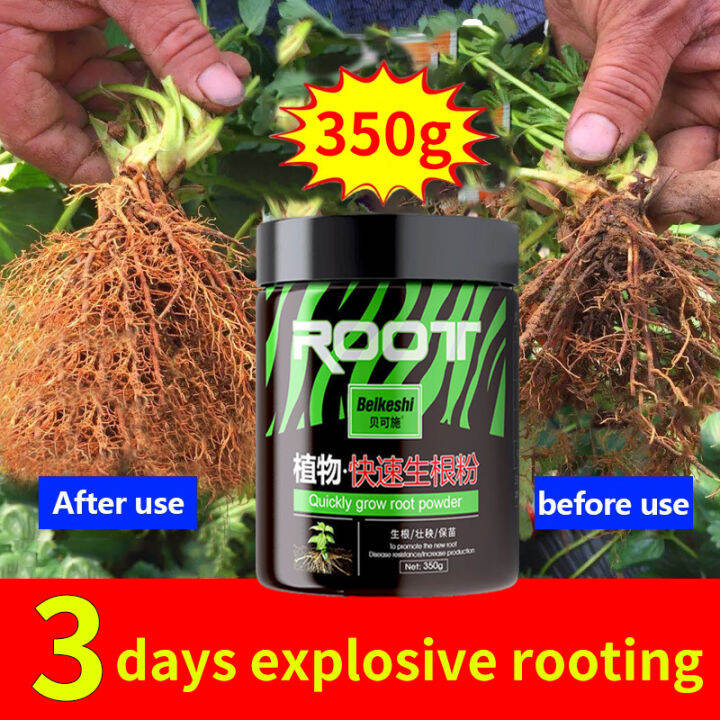 Rooting Powder For Plants Rooting Powder Rapid Growth Fertilizer For Plant Super Growth 5682