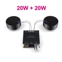 2*25W Resonance Vibration Speaker Bluetooth DIY Stereo Audio Portable Class D Power Amplifier Subwoofer HiFi System