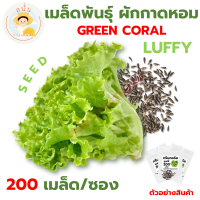 *ส่งด่วน* เมล็ดพันธุ์ ผักกาดหอม กรีนคอรัล สายพันธุ์ ลูฟฟี่ Green Coral Luffy ผักสลัด เมล็ดผัก เมล็ดพืช [1 ซอง 200 เมล็ด]