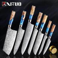 XITUO Professional Kitchen Chef Knife Set Damascus Steel Japan VG10 Premium Blue Resin and Colored Wooden Handle Cooking Tools Other Specialty Kitchen