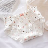 Ready Stock Women Bow Lace Edge Small Floral Thread Underwear Womens Cotton Crotch Middle Waist Buttocks Girls Briefs