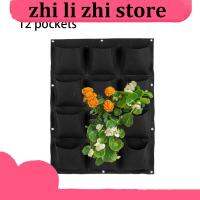 zhilizhi Store 12 Pockets Vertical Garden Planter Non-woven Fabrics Wall Hanging Planting Bags Black Decoration Accessories