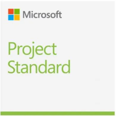 Microsoft Project Standard 2021 (076-05905) | Lazada Singapore