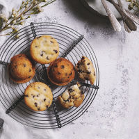 Retro Round Iron Bread Baking Rack Pan European BBQ Cake Bake Holder Vintage Photography Tools Cookies Cooling Tray Container