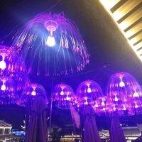 Jellyfish Light Fiber Optic Colorful Color Changing Outdoor Waterproof Ceiling Hanging Light Hotel Wedding Decoration Restaurant Bar Atmosphere Light 【SEP】