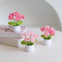 Mini Crochet Flowers Potted Wedding Souvenirs for Guests Crochet Woven Plant Knitted Flowers Potted Desktop Car Ornament