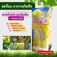 โพลี-ซีอะมิโน 1L สาหร่ายเข้มเข้น อะมิโนเข้มข้น สำหรับพืช เร่งราก แตกแขนง ข้าวแตกกอ ผลไม้ ผักใบเขียว โปรตีนพืช สาหร่ายทะเลสกัด