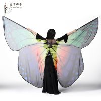 ❧ Odina Lei Belly Dance Costume Female Props Colorful Wings Colorful Transparent Chiffon Butterfly Performance Wings Props