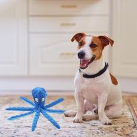 〖Love pets〗 8 Legs Octopus Squeaky Dog Squeakers Interactive Toy Sounder Promote Appetite Sounding Simple To Bite Middle Big Sized Dogs