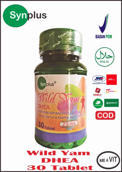 SYNPLUS WILD YAM DHEA MEMBANTU PRODUKSI HORMON DALAM TUBUH ANTIOKSIDAN DAN KEKEBALAN TUBUH ISI