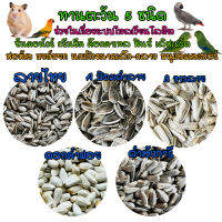 ทานตะวัน 5 ชนิด Sunflower Seeds เกรต AAA สำหรับนกแก้วทุกสายพันธุ์ และสัตว์ฟันแทะ แบ่งขาย 500กรัม