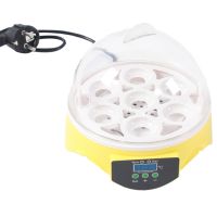 7 Eggs Incubator Mini Breeding Equipment Incubator Digital Temperature Incubator Poultry Incubator EU Plug