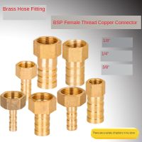 Brass Hose Fitting 4mm 6mm 8mm 10mm 19mm Barb Tail 1/8 1/4 1/2 3/8 BSP Female Thread Copper Connector Joint Coupler Adapter