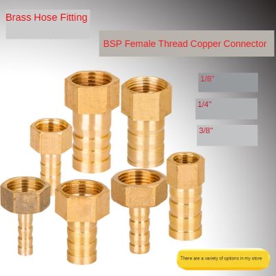 Brass Hose Fitting 4mm 6mm 8mm 10mm 19mm Barb Tail BSP Female Thread Copper Connector Joint Coupler Adapter