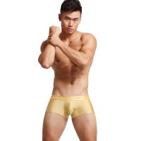 NEW Mens Underwear Sexy Tracksuit U Bag Boxer Intimates Pyjama Comfortable Male Home Casual Trunk Underpants Shorts