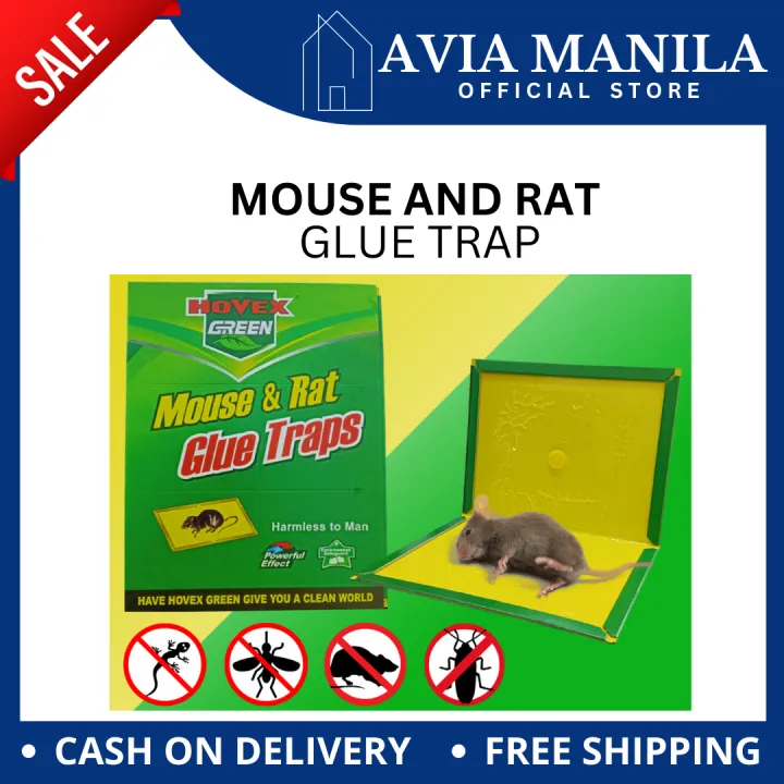 Nontoxic Mouse and Rats Glue Traps Rat Trap Control Killer Pest