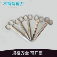 Original Surgical boutique scissors stainless steel garden double eyelid beauty side cut suture removal bandage perineal ophthalmic gauze tissue scissors