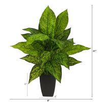 Dieffenbachia พืชประดิษฐ์ในชาวไร่สีดำ,สีเขียว