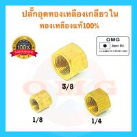 ?? ปลั๊กอุดทองเหลือง แท้100% 1/8” 1/4” 3/8” ข้อต่อทองเหลือง ปลั๊กอุดเกลียวใน ปลั๊กอุดทองเหลืองตัวเมีย อย่างหนา อย่างดี