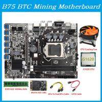 B75 BTC Mining Motherboard 12 PCIE to USB LGA1155 MSATA SSD 128G+DDR3 8GB 1600Mhz RAM+SATA Cable B75 ETH Motherboard