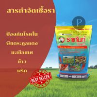 ราเก้นท์ สารป้องกันโรคจากพริก 1,000g. ป้องกันโรคโรคแอนแทรคโนส โรคกุ้งแห้งในพริก โรคราน้ำค้างในพืชตระกูลแตง โรคเน่าดำ โรคราสนิม โรคดอกสนิม โรคใบไหม้ โรคใบจุด โรครากำมะหยี่ในมะเขือเทศ โรคสแค็ป โรคแห้งและโรคถอดฝักดาบในข้าว