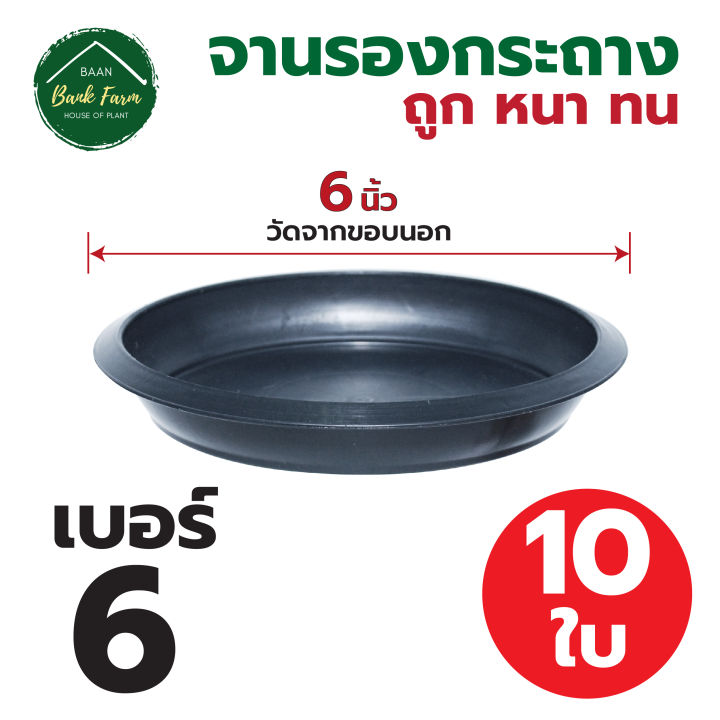 จานรองกระถาง6-นิ้ว-สีดำ-1-10ใบ-จานรองกระถางราคาถูก-จานรองกระถางพลาสติก-จานรองต้นไม้-l-บ้านแบงค์ฟาร์ม