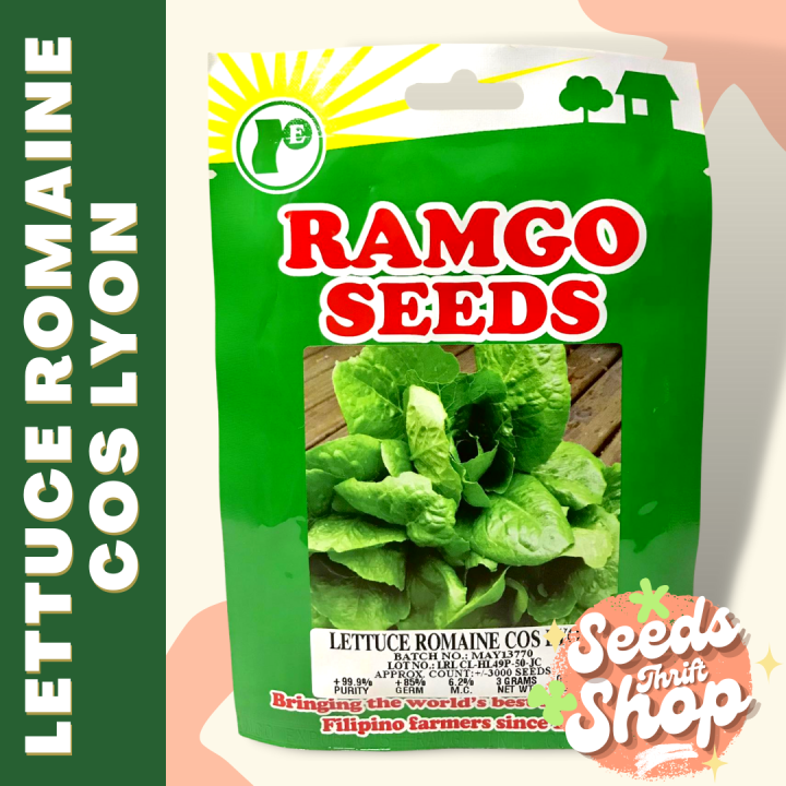 LETTUCE ROMAINE COS LYN RAMGO SEEDS SACHET Lazada PH