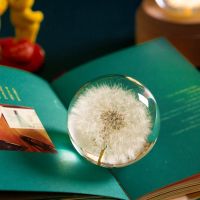 Real Dandelion Crystal Glass Resin Lens Ball 7/8/9cm Natural Plants Specimen Flowers Crystal Ball for Sphere Photography Decor