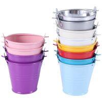 12pcs Planter for Flowers Mini Buckets Metal Table Decoration (Random Color)