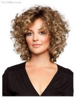 WHIMSICAL W Synthetic Women Mixed Blonde Brown Short Curly Wigs Natural Hair Wigs Heat Resistant Hair Wig for Women [ Hot sell ] ea1voy