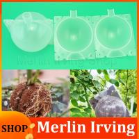 Merlin Irving Shop New 5cm Plant Rooting Ball Grafting Rooting Case fruit tree flower branch Growing Box Breeding Container Nursery grow Root pots