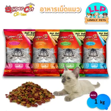 อาหารแมวอ้วนๆ ราคาถูก ซื้อออนไลน์ที่ - ก.ย. 2023 | Lazada.Co.Th