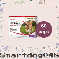 Antinol Soft Gel Caps for Dogs ขนาด 60 เม็ด