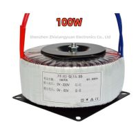 หม้อแปลงไฟฟ้า Toroidal สำหรับเครื่องขยายเสียงอินพุต100VA 220V 230V เอาต์พุต240V 45 0 45V 24-0-24V 50 0 50V