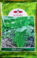 ผักชี  หอมป้อม สายสมร? ขนาดบรรจุ 350 กรัม กอใหญ่ งอกเร็ว ใบสีเขียว ? หมดอายุ 05/08/2567? เมล็ดพันธุ์ผักชี หอมป้อม รากใหญ่ดีมาก