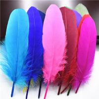 Hard Pole Feathers for Crafts Plumes 6-8inch/15-20cm Jewelry Pheasant Feather Wedding Decoration