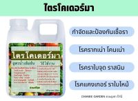 ไตรโคเดอร์มา ป้องกันกำจัดเชื้อรา โรครากเน่า ราใบจุด ราสนิม ราใบไหม้  ขนาด 1 ลิตร